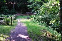 20160528_MTB-15