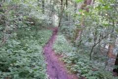 20160528_MTB-5