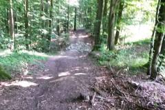 20160528_MTB-7