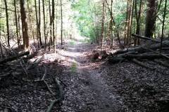20160528_MTB-8