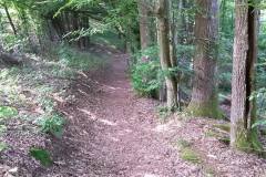 20160528_MTB-9
