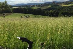 20160530_Rennrad-3