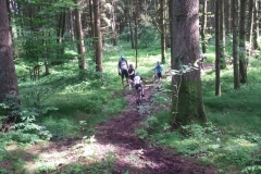 20160617_MTB201606173