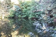 20160622_MTB-16