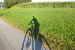 20160831_MTB201608316