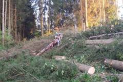 20160907_MTB-11