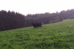 20160914_MTB20160914_191455