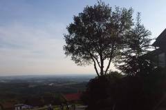 20170531_MTB170531-3