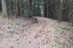 20170628_MTB170628-1