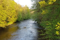 1_20190501_192252