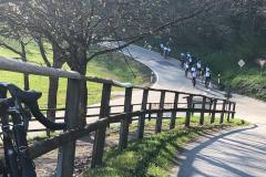 20190415-WA0006