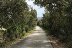 20190424-WA0010