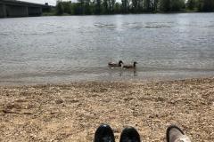 20190518-WA0008
