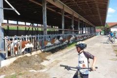 20200807_kids_20200807-WA0043