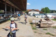 20200807_kids_20200808-WA0000