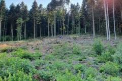 20200807_kids_20200808-WA0001