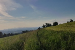 20210616_MTB-training-6