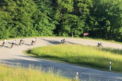 20220530_Rennrad_RR-2