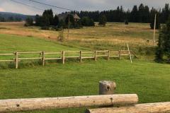 20220728_Rennrad-006