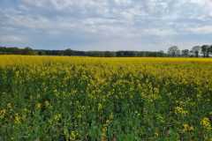 20230507_Rennrad-WA0002