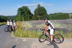 20230612_Rennrad-WA0028