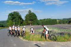 20230612_Rennrad-WA0029