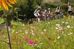 20230918_Rennrad-WA0017