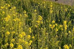 20230925_Rennrad-WA0037