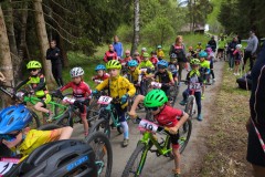 IMG_20250511_110832_101.jpg_compressed