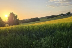 20260527_201345-Kopie