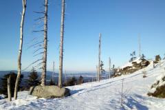 20190223_dreisessel-38