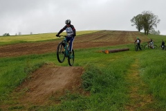 20190427-hasenoehrl20190427_105703