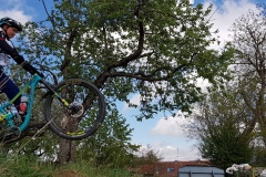 20190427-hasenoehrl20190427_151952