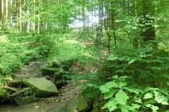 20160529_MTB-17