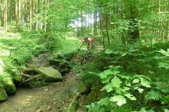 20160529_MTB-6