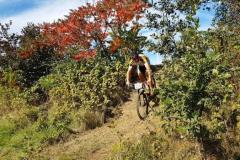 20190929_ilztalkiniUntitled_1.5.6