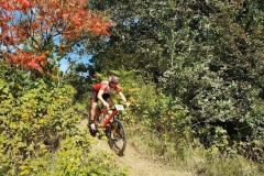 20190929_ilztalkiniUntitled_1.5.7