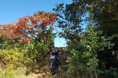 20190929_ilztalkiniVideos2