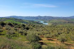 20170331_malaga20170330-WA0006