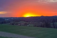 IMG-20240331-WA0017
